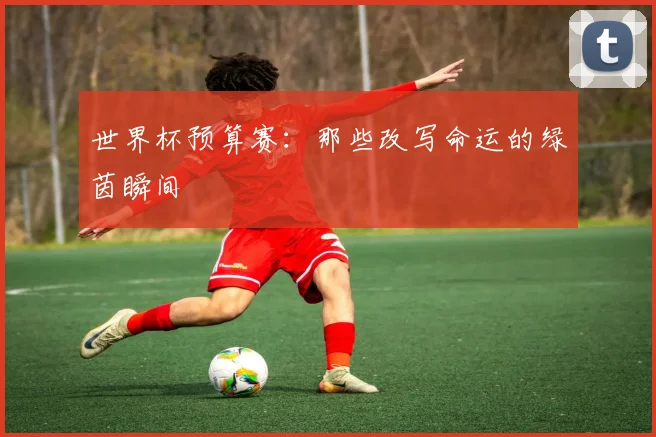 世界杯预算赛:那些改写命运的绿茵瞬间
