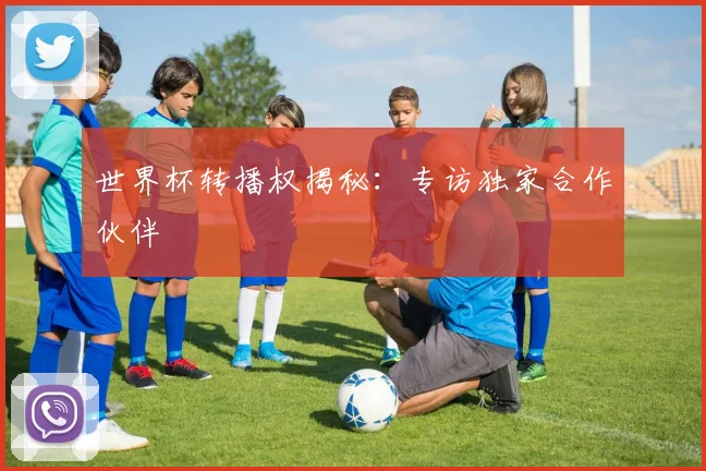世界杯转播权揭秘：专访独家合作伙伴