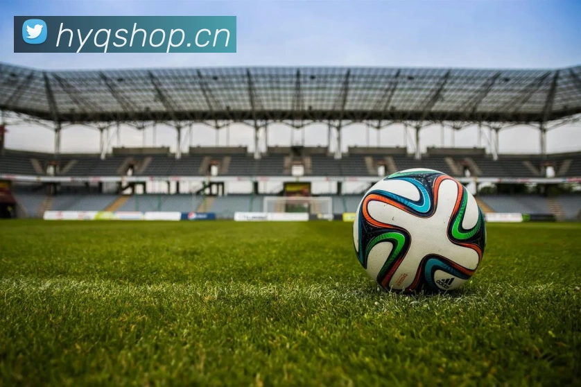 爱游戏ayx平台APP 封面图